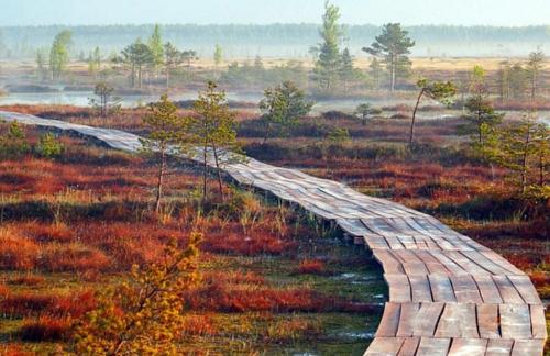 Тур в заказник "Ельня" и водопад на реке Вята за 120р/1 день от "Travellab"
